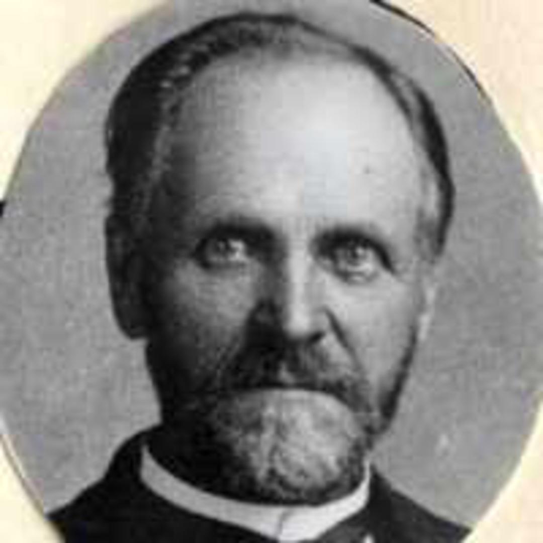 David Patterson Anderson (1838 - 1914) Profile